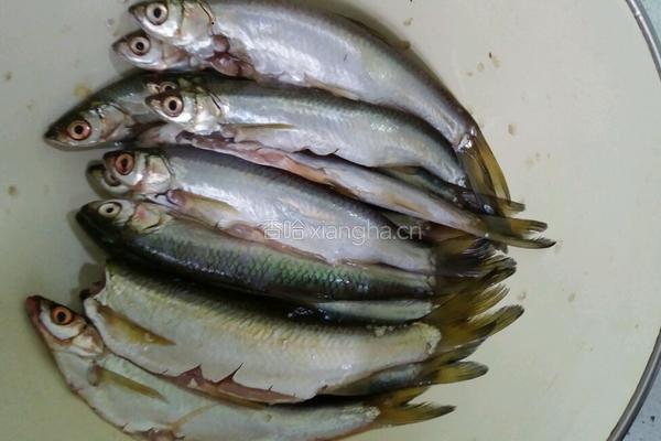 菜油煎洞庭湖油叼子鱼的做法图解1