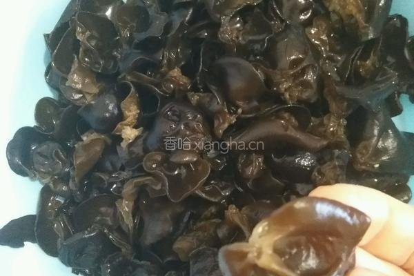 凉拌木耳的做法图解2