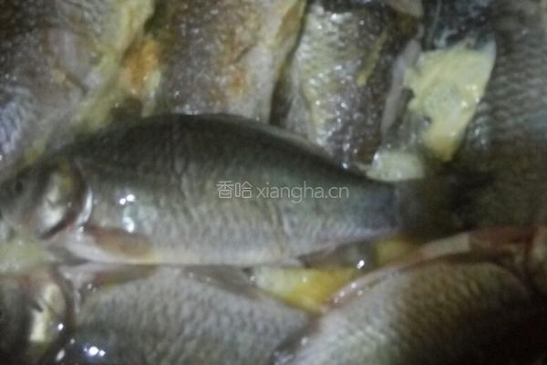 小鲫鱼汤的做法图解4