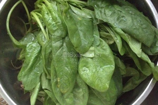 清炒波菜的做法图解1