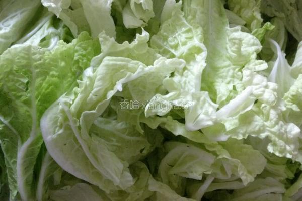 大虾炖白菜的做法图解2