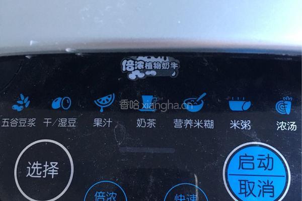 红心火龙果汁的做法图解2