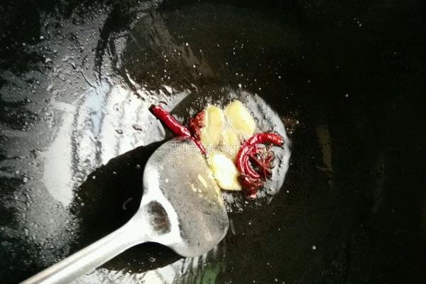 土豆炖鸡肉的做法图解4