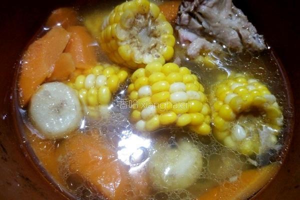 马蹄玉米胡萝卜鸡汤的做法图解7