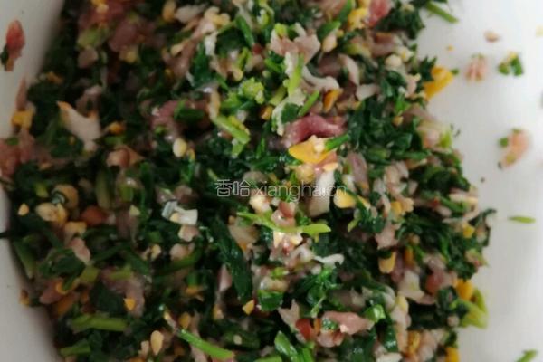 荠菜饺子的做法图解3