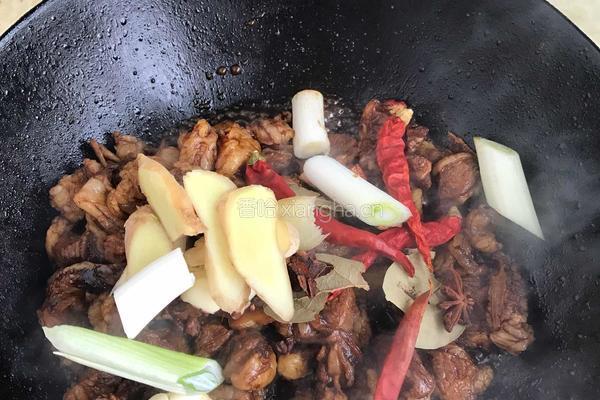 红烧牛肉的做法图解3