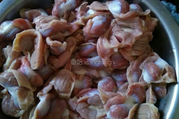 炖鸡胗的做法图解1