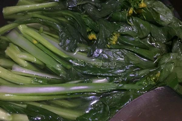 蒜蓉菜心的做法图解3