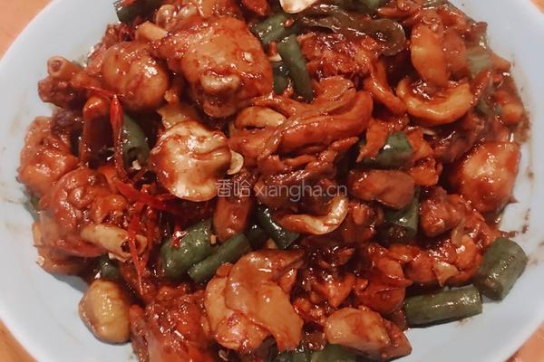 板栗啤酒鸡的做法图解10