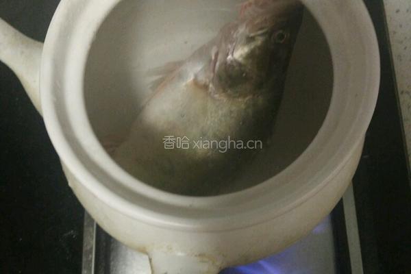 砂锅煲桂鱼面汤的做法图解5