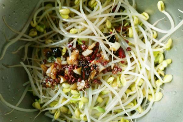 麻辣黄豆芽的做法图解6