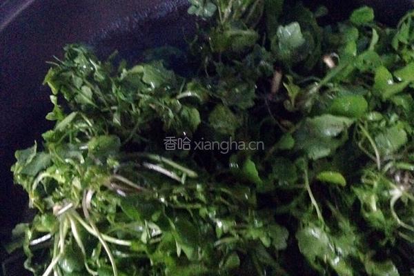 荠菜大馄饨的做法图解3