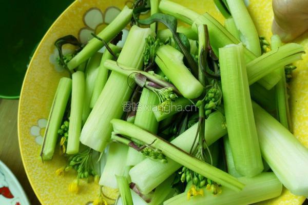 炒菜苔的做法图解2