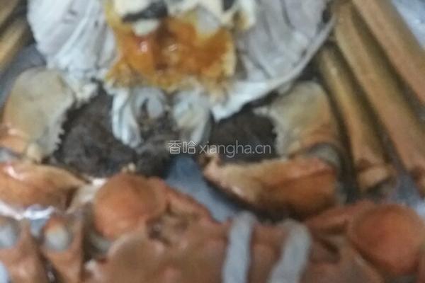 清蒸大闸蟹的做法图解5