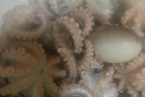 八爪鱼炖五花肉的做法图解2