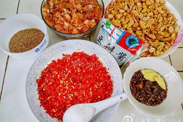 自制鸡肉辣酱的做法图解2