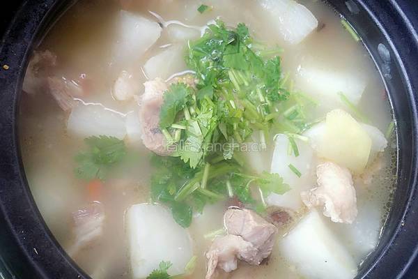 羊肉萝卜煲的做法图解10