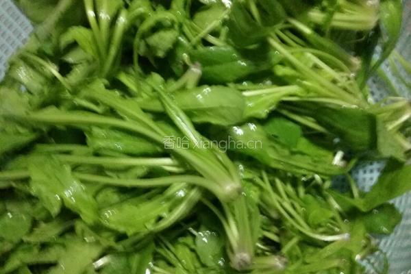 荠菜肉丸子的做法图解1