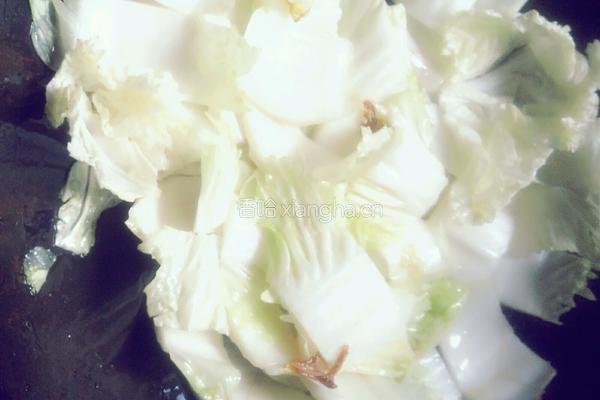 豆结烧白菜的做法图解5