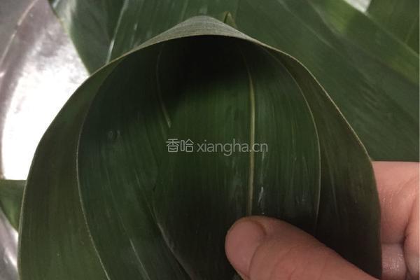 香菇肉粽的做法图解7