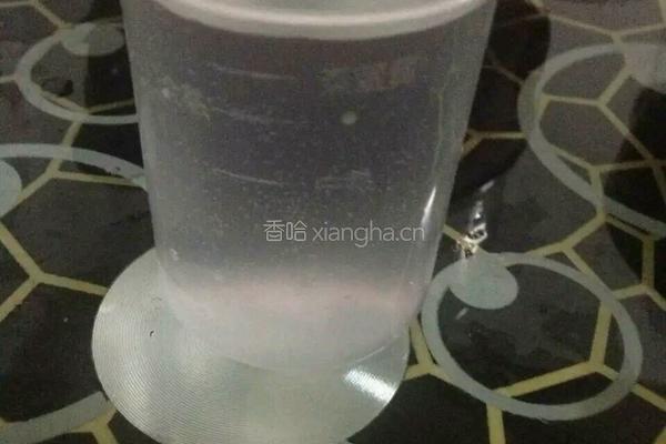 蒸饺子的做法图解6