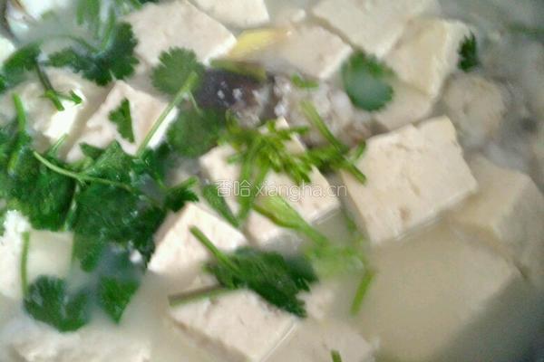 鳕鱼炖豆腐的做法图解12