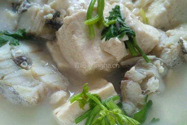鳕鱼炖豆腐的做法图解13