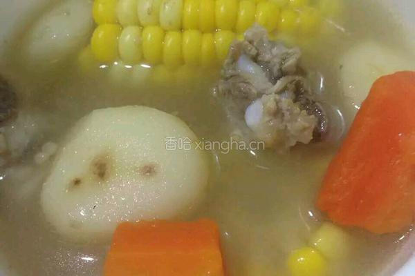 多彩排骨汤