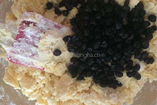 蓝莓干奶酥的做法图解6