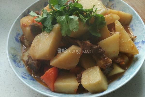 西红柿土豆炖牛腩的做法图解10