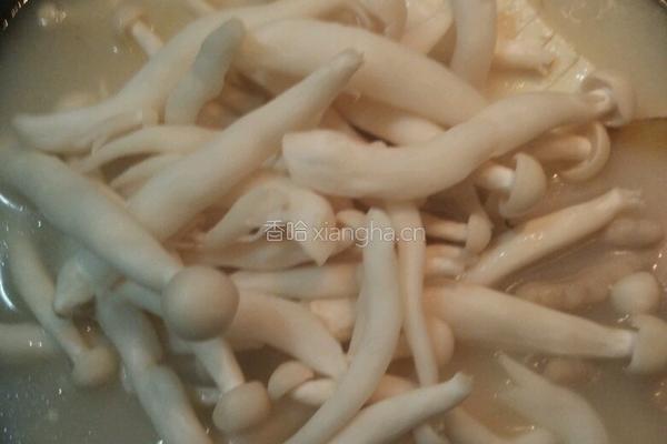 鸡爪白菜蘑菇豆腐汤的做法图解13
