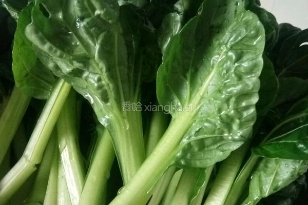 清炒青菜的做法图解2