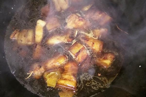 红烧肉炖萝卜的做法图解6