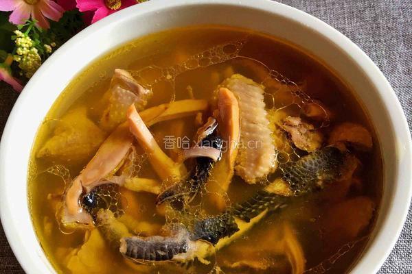 墨鱼炖鸡的做法图解6