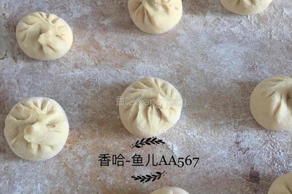 羊肉胡萝卜包子的做法图解18