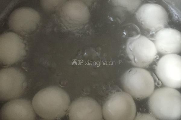 煮汤圆的做法图解4