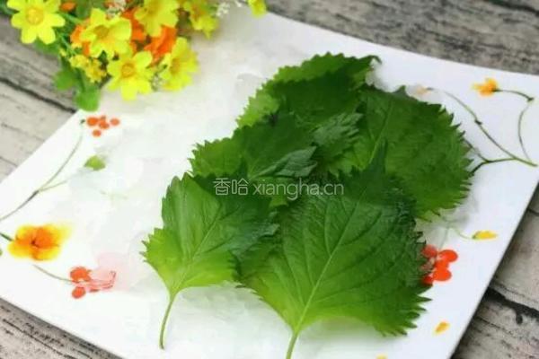 刺身三文鱼的做法图解4