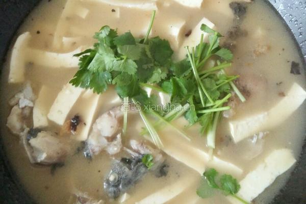 豆腐鱼汤的做法图解5