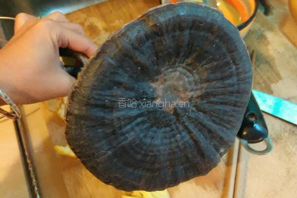 羊肉山药灵芝汤的做法图解4
