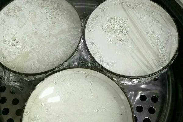 双皮奶的做法图解4