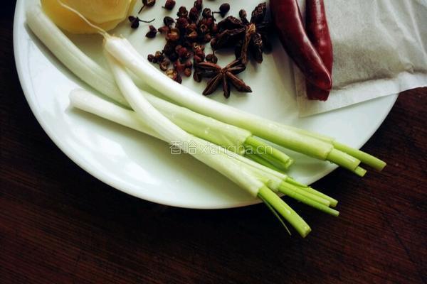 红烧牛肉的做法图解3