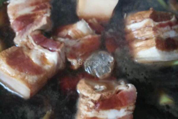 东坡肉的做法图解10