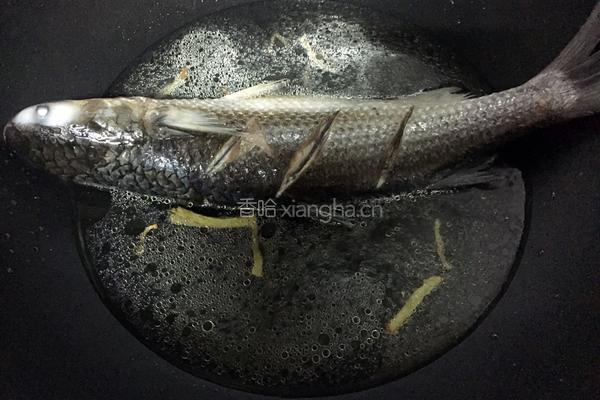 豆酱焖黑鱼的做法图解4