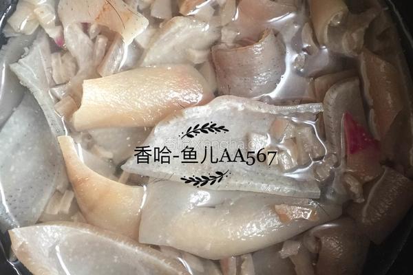 肉皮冻的做法图解7