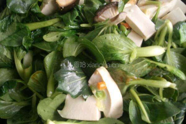 香菇豆腐炖青菜的做法图解4