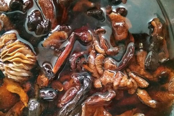 东北菜小鸡炖蘑菇粉条的做法图解2