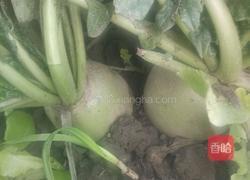 香煎萝卜韭菜饼的做法图解1