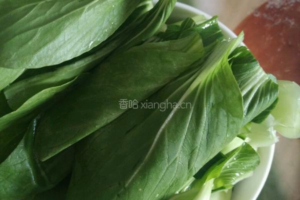番茄手工面的做法图解3
