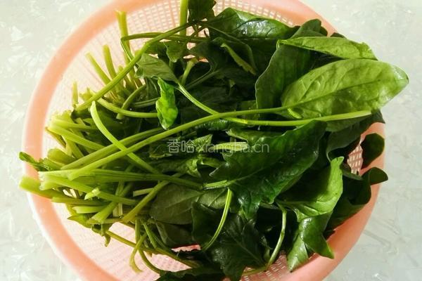 白菜（百财）饺子的做法图解1