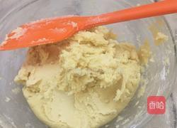 蔓越莓饼干的做法图解8